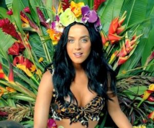 katy perry roar