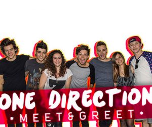 meet one direction info