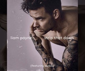 Liam Payne Strip That Down artwork